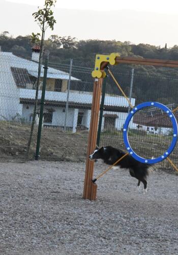 Trapagaran instala su primer parque canino